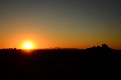 DSC_1466 (Large).JPG